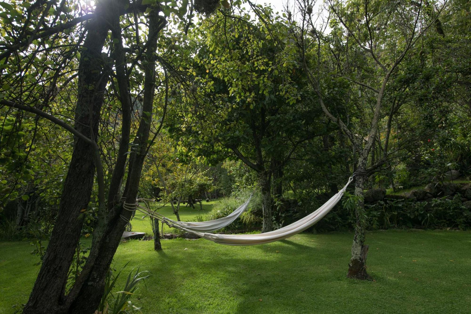 Andenia Boutique Hotel, Sacred Valley Urubamba Ngoại thất bức ảnh