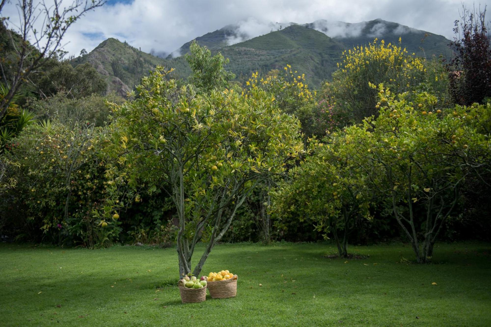 Andenia Boutique Hotel, Sacred Valley Urubamba Ngoại thất bức ảnh